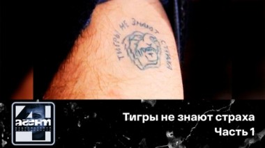 Тигры не знают страха. Часть 1