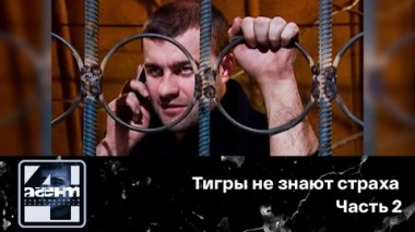 Тигры не знают страха. Часть 2