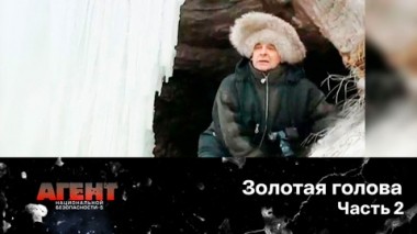 Золотая голова. Часть 2