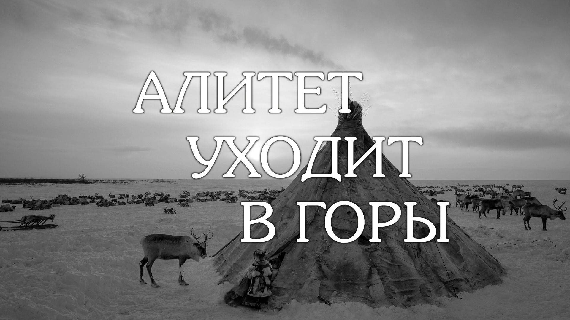 Алитет уходит в горы