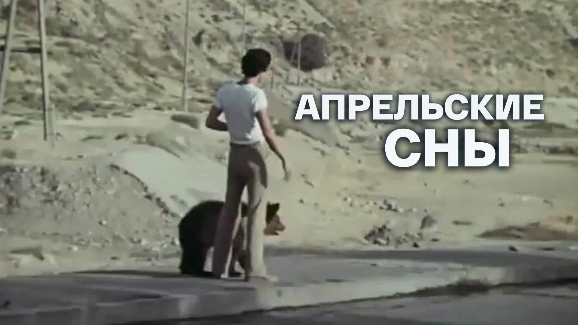 Апрельские сны