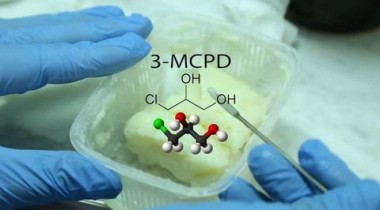 Пальмовые берега 3