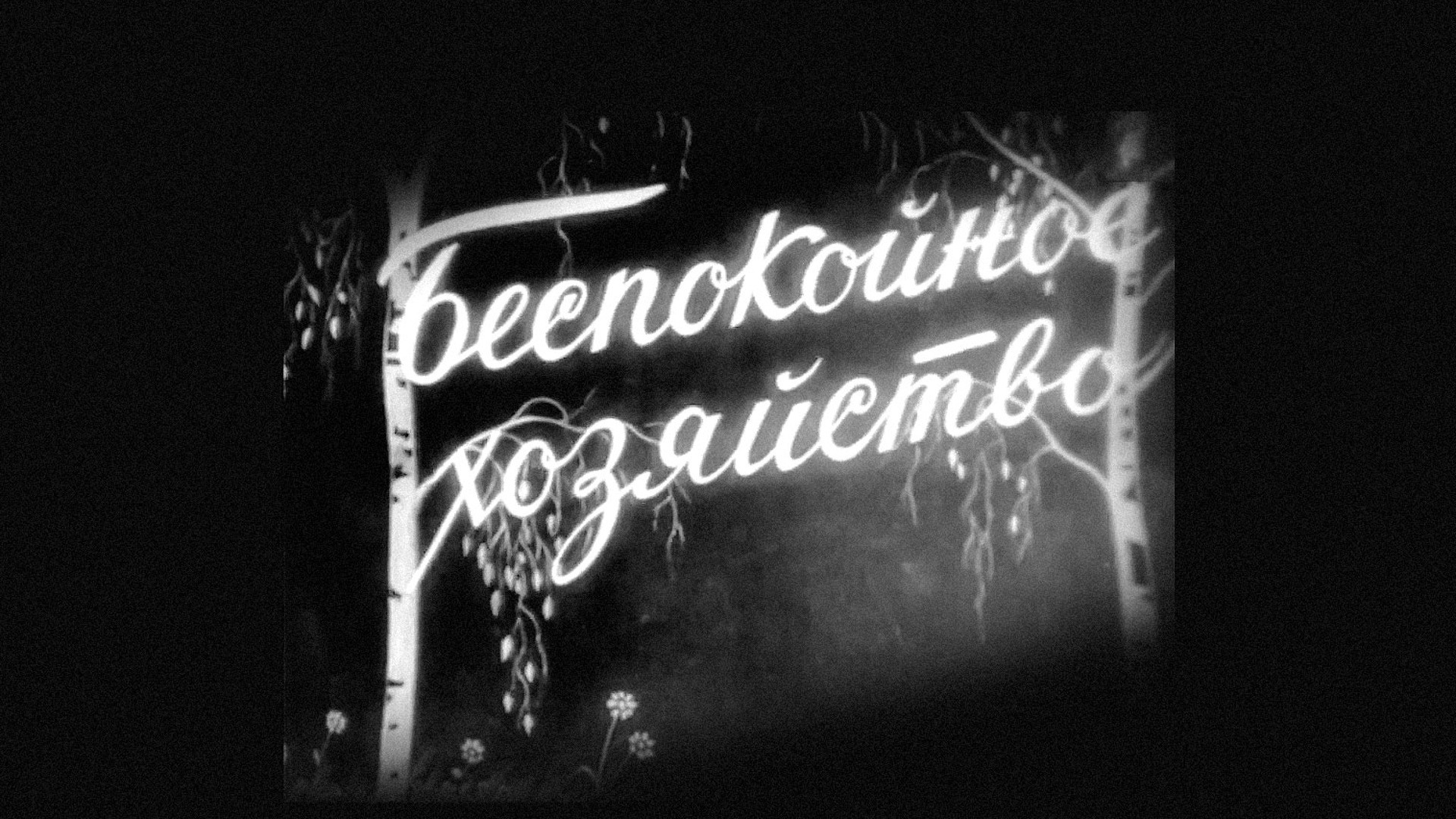 Беспокойное хозяйство