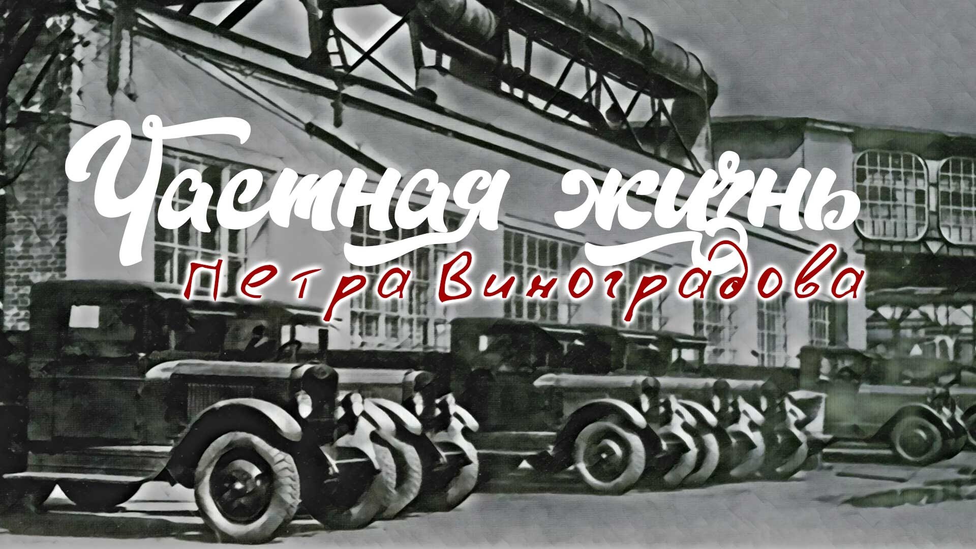 Частная жизнь Петра Виноградова