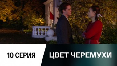 Серия 10