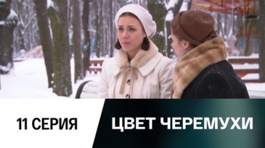 Серия 11