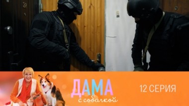 Серия 12