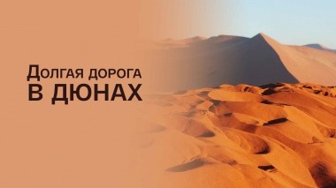 Долгая дорога в дюнах