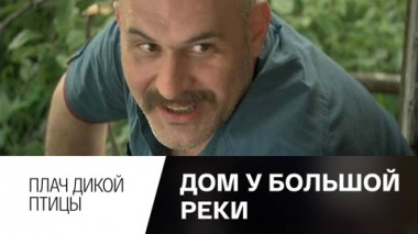 Плач дикой птицы