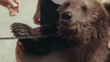 Фильм 3. Возвращение