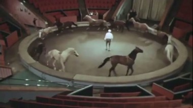 Фильм 4. Скачки