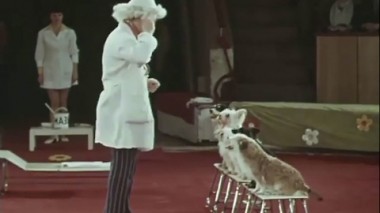 Фильм 5. В лесу