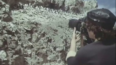 Фильм 7. Браво, Солнышко