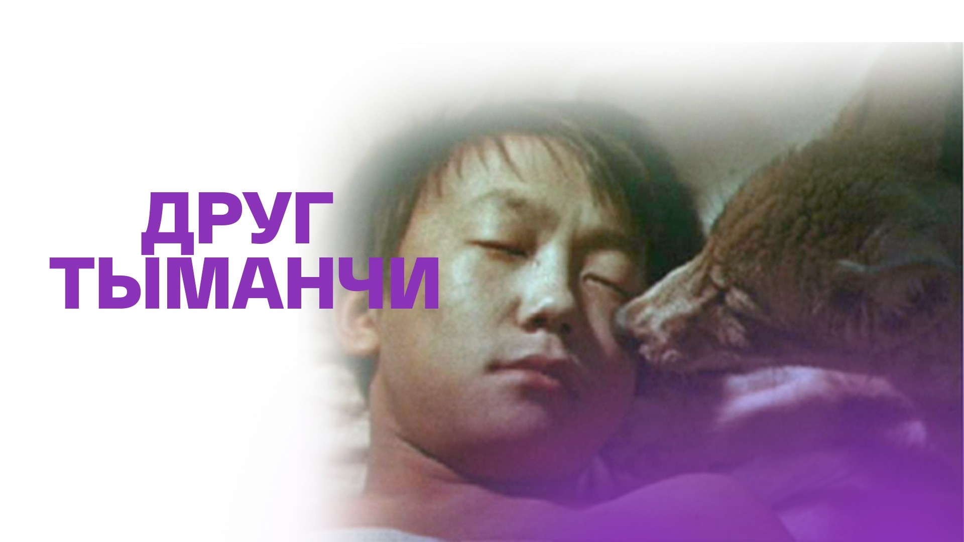 Друг Тыманчи