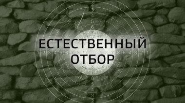 Естественный отбор