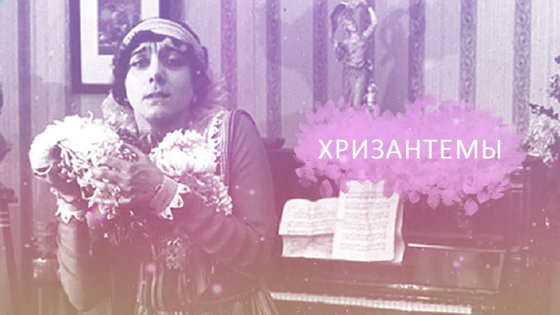 Хризантемы