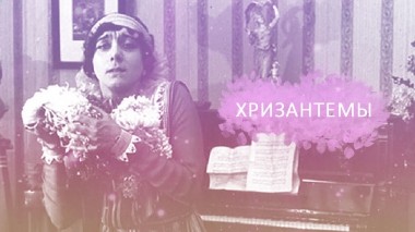 Хризантемы