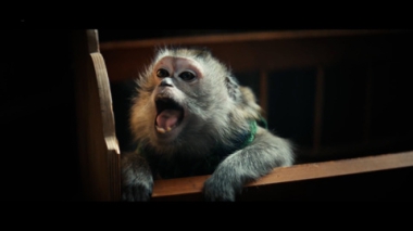 На большие экраны выходит Красавица