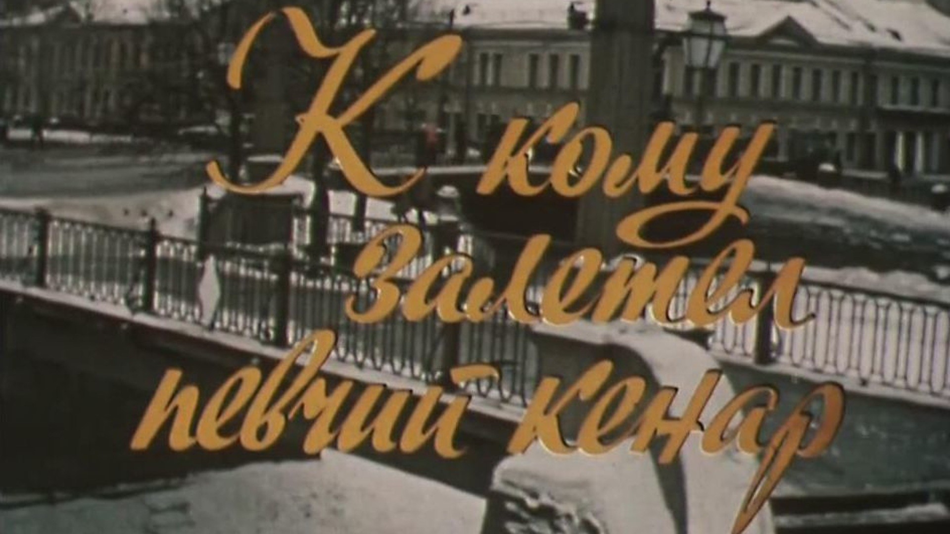 К кому залетел певчий кенар