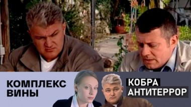 Комплекс вины