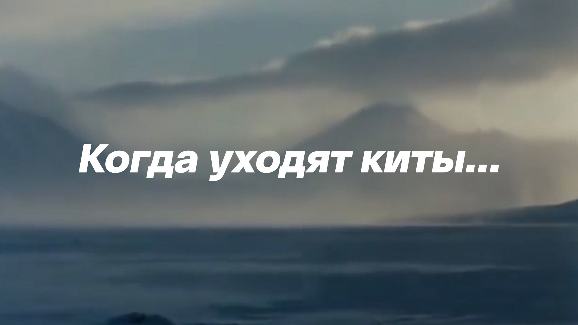 Когда уходят киты...