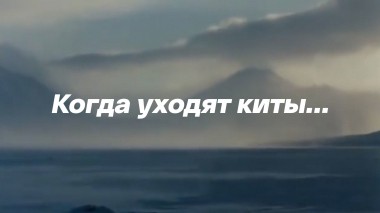 Когда уходят киты...