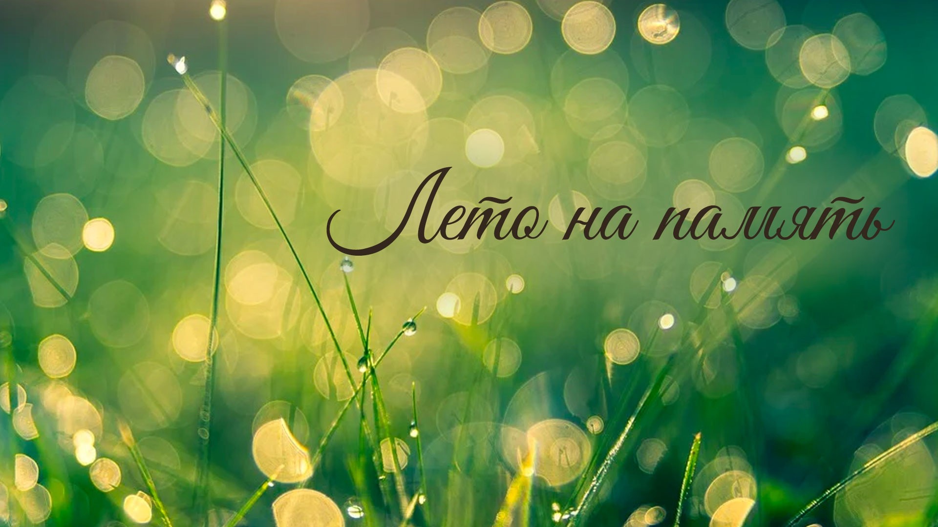 Лето на память