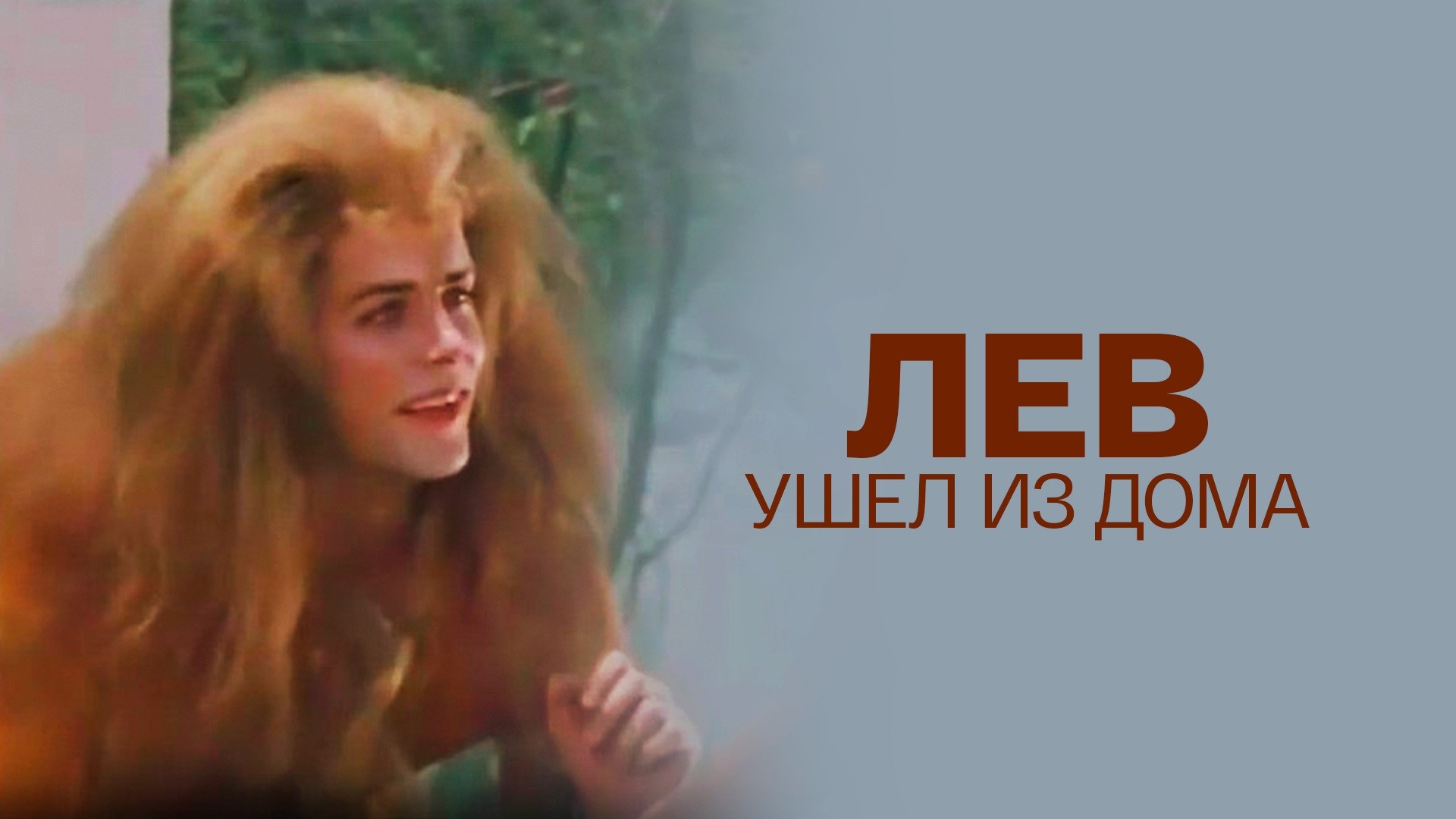 Лев ушел из дома