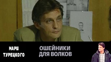 Ошейники для волков
