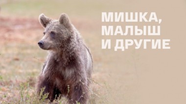 Художественный фильм