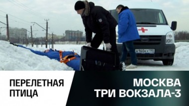 Перелетная птица