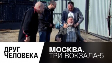 Друг человека