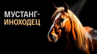 Художественный фильм