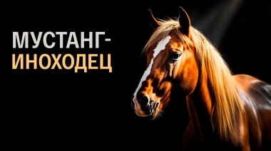 Мустанг-иноходец
