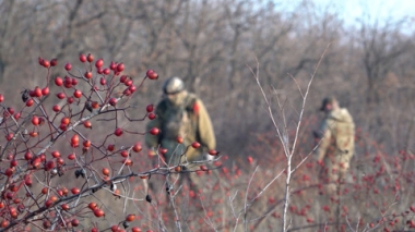 Военкоры. Эфир от 23.11.2025