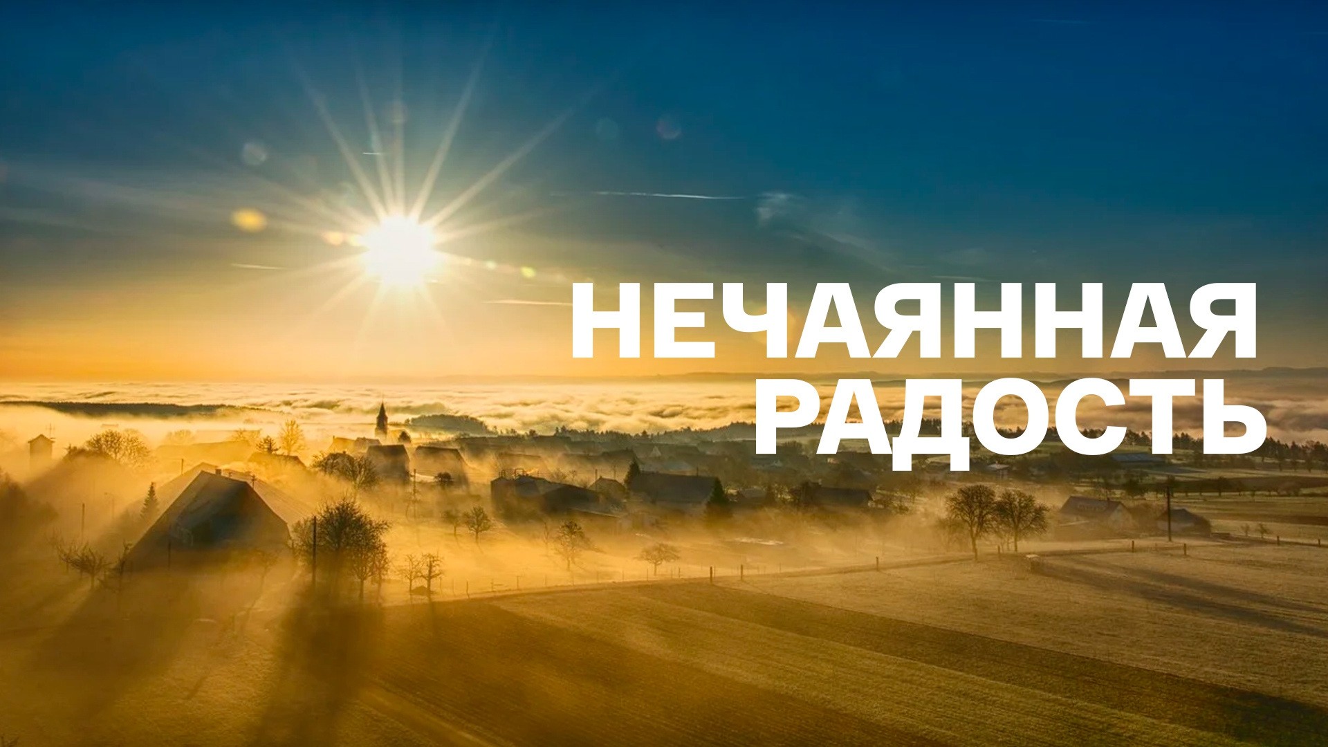 Нечаянная радость