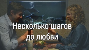 Несколько шагов до любви