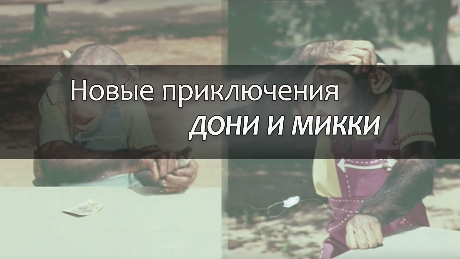 Новые приключения Дони и Микки