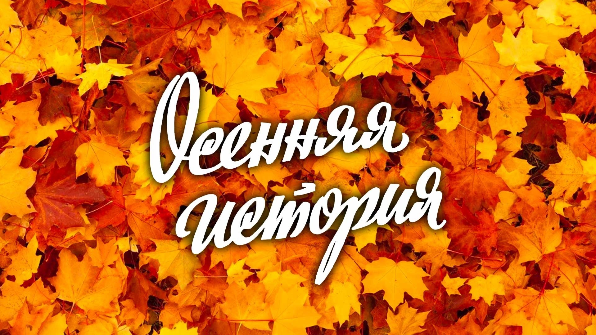 Осенняя история