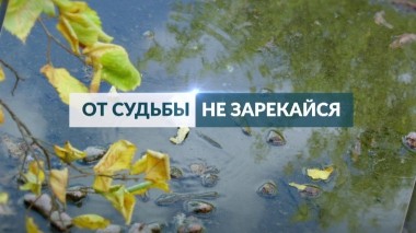 От судьбы не зарекайся