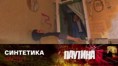 Синтетика. Часть 1