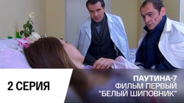 Белый шиповник. Часть 2