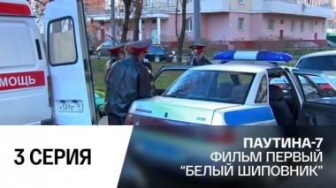 Белый шиповник. Часть 3