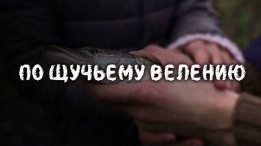 По щучьему велению