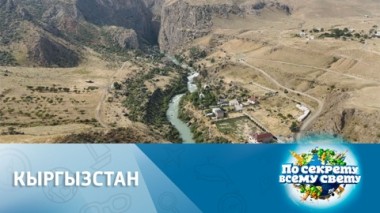 Эликсир жизни