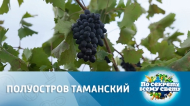 Урожай впечатлений