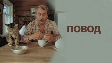 Повод
