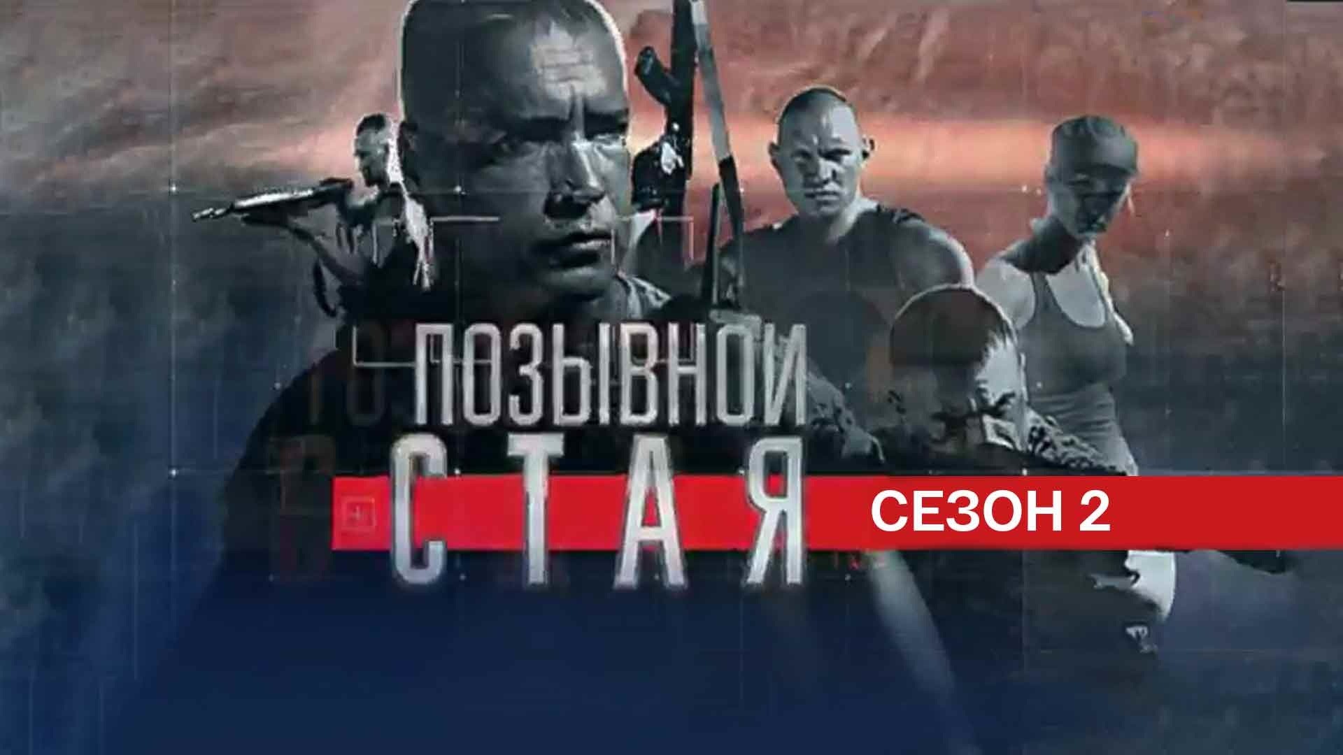 Позывной Стая- 2