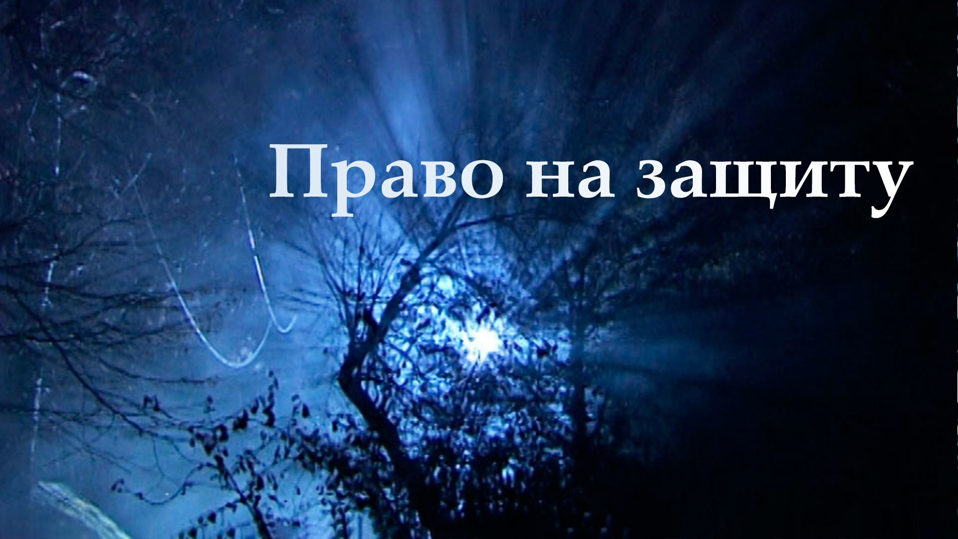 Право на защиту