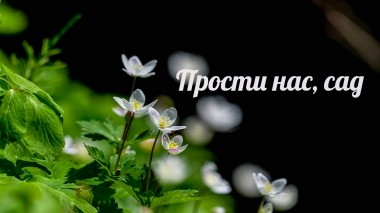 Прости нас, сад